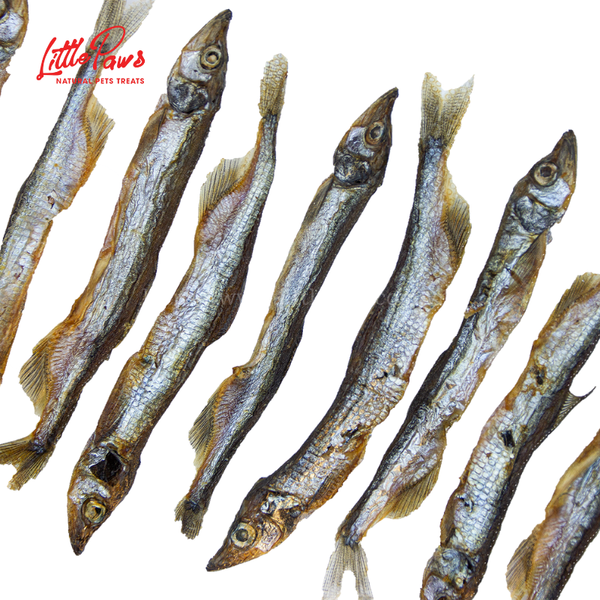 Little Paws Capelin - Cá Trứng Sấy - 8pcs/16pcs