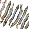 Little Paws Capelin - Cá Trứng Sấy - 8pcs/16pcs