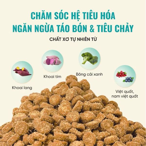 Thức Ăn Hạt Cho Mèo Bite Of Wild B45 - 1KG