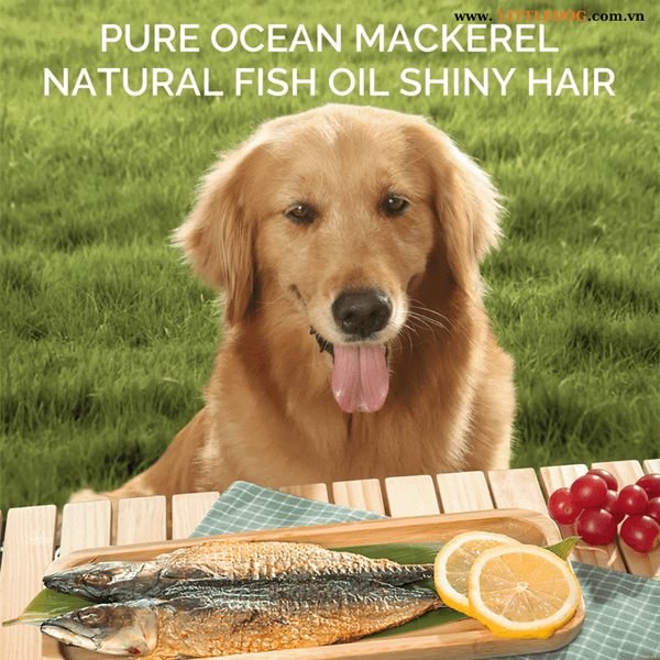 Cá Thu Sấy Cho Thú Cưng - Meatyway Mackerel Jerky - 50g