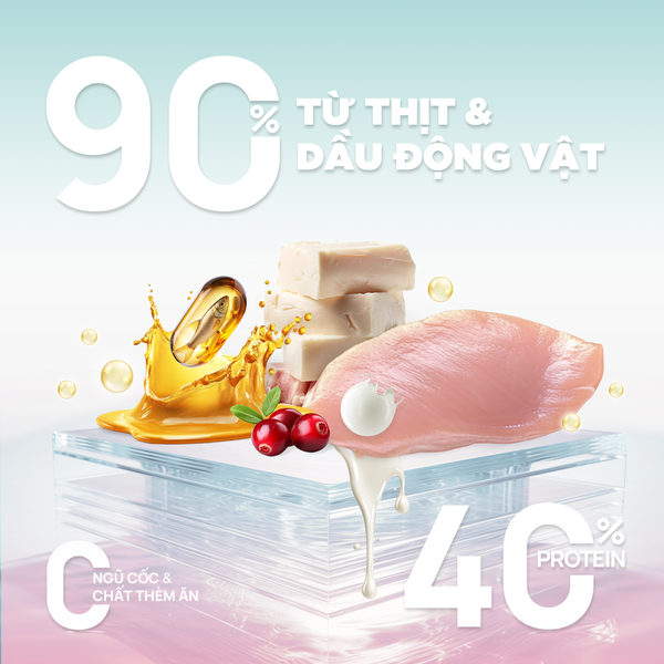 Thức Ăn Hạt Churro C90 Dành Cho Mèo Con – PetQ