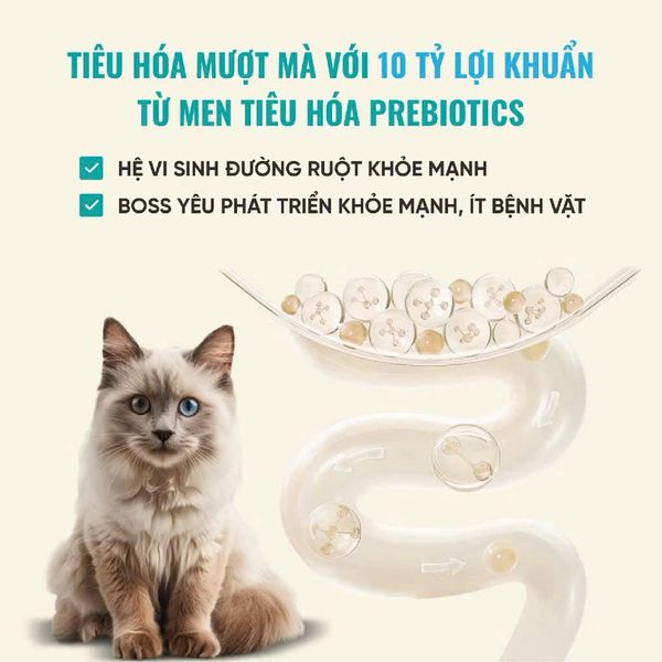 Thức Ăn Hạt Cao Cấp Cho Mèo - Bite of Wild 6 Fish Formula F42 - 1Kg