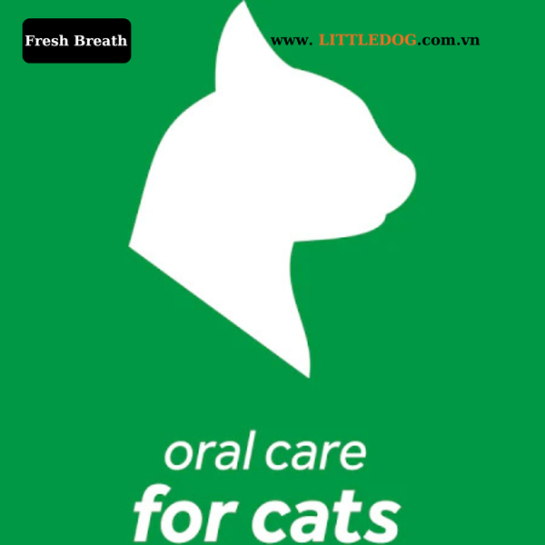 Dung Dịch Hỗ Trợ Vệ Sinh Răng Miệng Cho Mèo – TropiClean Fresh Breath Water Additive