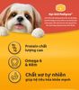 Pedigree - Thức ăn khô cho giống chó nhỏ trên 1 tuổi (400g/1.3kg)