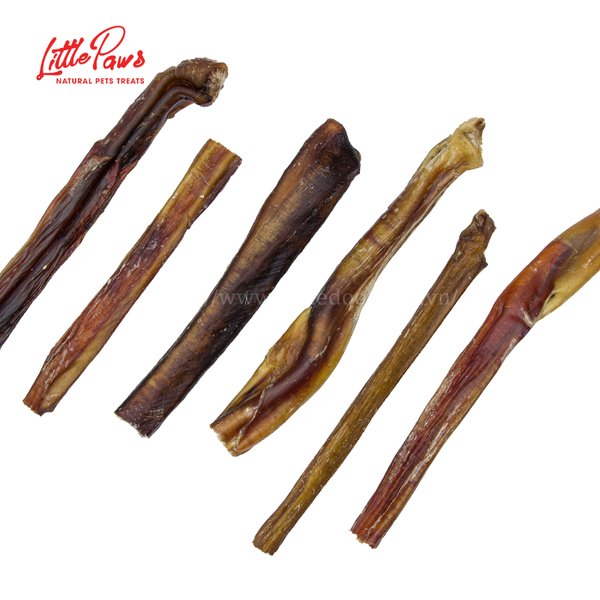 Little Paws BeeF Bladder- Pín Bò Sấy- S/M/L