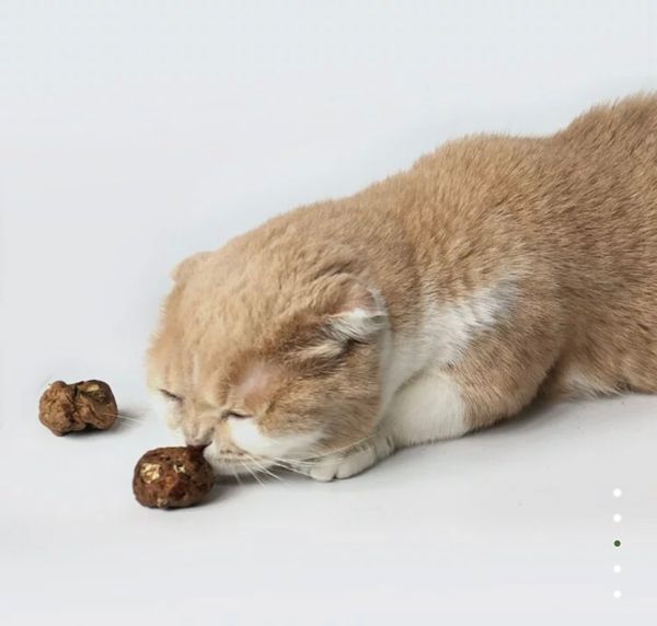 Catwant - Quả Bạc Hà Khô Cho Mèo (Catnip) 20g