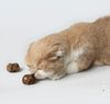 Catwant - Quả Bạc Hà Khô Cho Mèo (Catnip) 20g