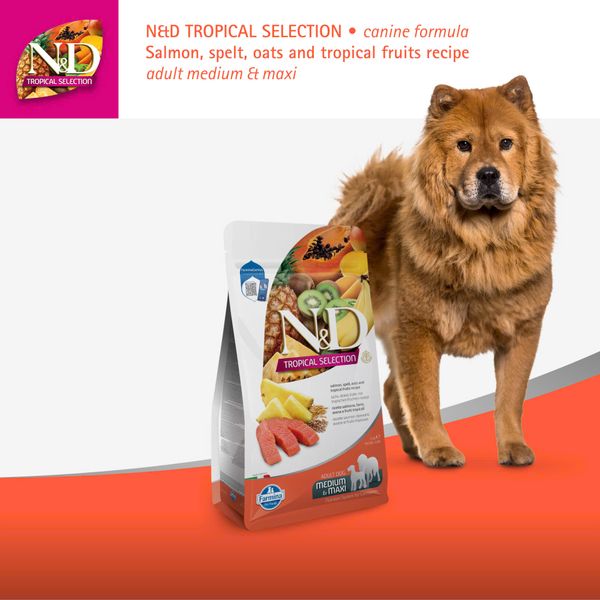 HẠT CHO CHÓ TRƯỞNG THÀNH FARMINA N&D TROPICAL SELECTION – GÀ / CÁ HỒI & TRÁI CÂY NHIỆT ĐỚI (DÒNG MEDIUM/MAXI)