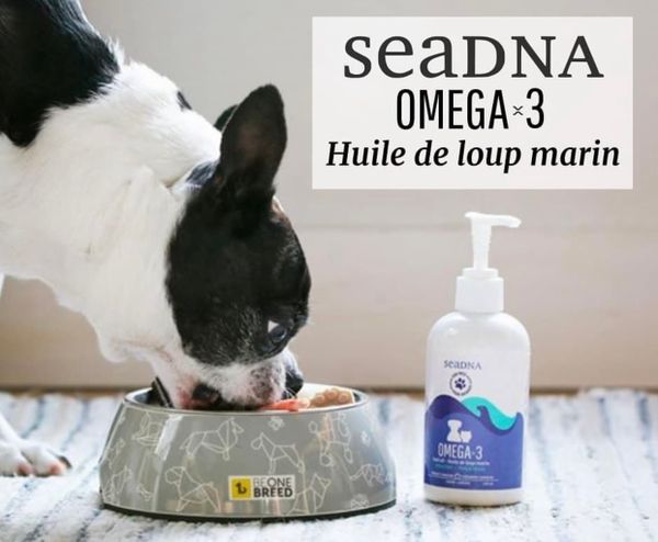 SeaDNA - Dầu cá hải cẩu