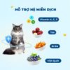 MR.VET G1 - Hạt Khô Cho Mèo Cao Cấp Không Ngũ Cốc, Kèm Topping Thịt Tươi Đông Khô (1KG)