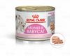 Pate Mèo Mẹ và Mèo Con Royal Canin Mother&Babycat 195g