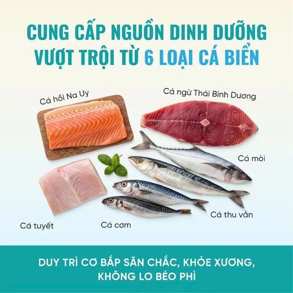 Thức Ăn Hạt Cao Cấp Cho Mèo - Bite of Wild 6 Fish Formula F42 - 1Kg