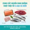 Thức Ăn Hạt Cao Cấp Cho Mèo - Bite of Wild 6 Fish Formula F42 - 1Kg