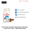 Thức Ăn Hạt Cho Mèo Trưởng Thành Nuôi Trong Nhà Royal Canin Indoor 27 (400g/2kg/4kg/10kg)