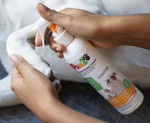 Pawz Dog Sanipaw Spray - Chai xịt bảo vệ bàn chân cho Chó 236ml