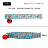 Pets Collar - Dành cho Chó size Vừa (Medium)
