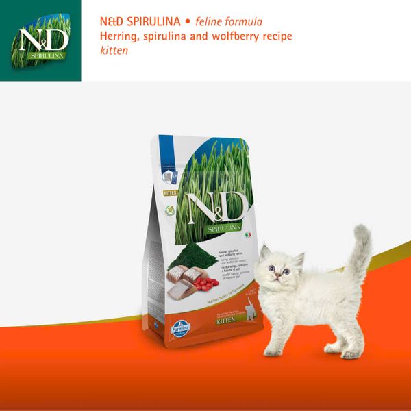 Hạt Cho Mèo Con Cao Cấp – N&D Spirulina Dòng Kitten Siêu Dinh Dưỡng
