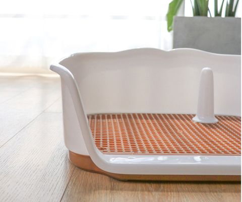 Bobino Dog Toilet Tray ( 3 màu )