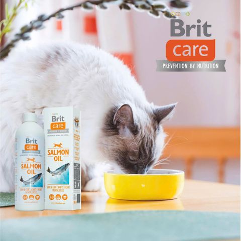 Dầu Cá Hồi Brit Care – Dưỡng Lông & Tăng Cường Sức Khỏe Cho Chó Mèo
