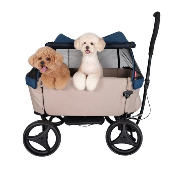 IBIYAYA Xe Đẩy FS2130-LA - Noah All Around Beach Wagon
