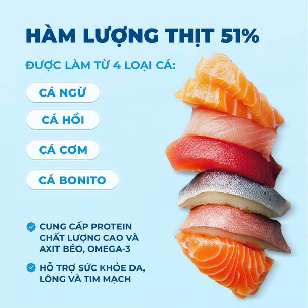 Mr. Vet T3 – Công thức Hỗ trợ Tiết Niệu (1kg)