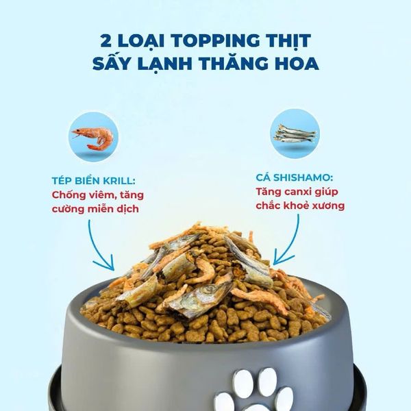 MR.VET T4 – Hạt Holistic Cho Mèo Trong Nhà (1KG)