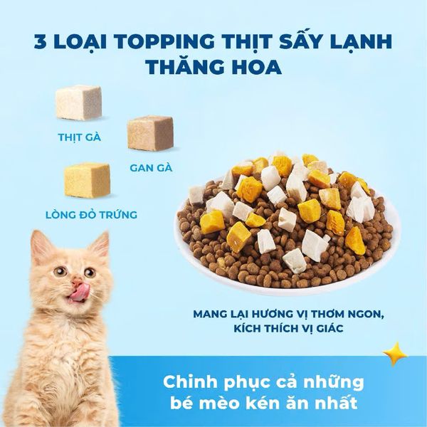 MR.VET T1 – Hạt Holistic Cho Mèo (1KG)