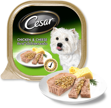 Cesar 100g Gà & Phômai | Chicken & Cheese