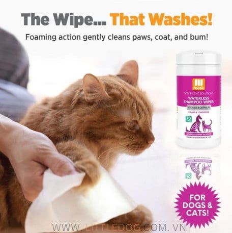 NOOTIE PET WIPES (JAPANESE CHERRY BLOSSOM) - Khăn giấy ướt (70)