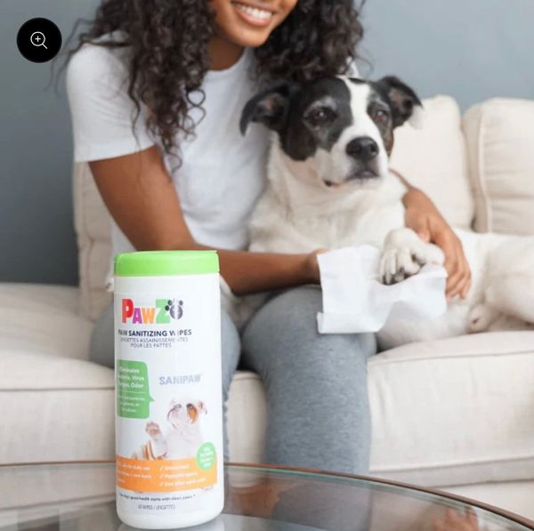 Pawz Dog Sanipaw Wipes - Khăn ướt lau chân cho chó 60 tờ