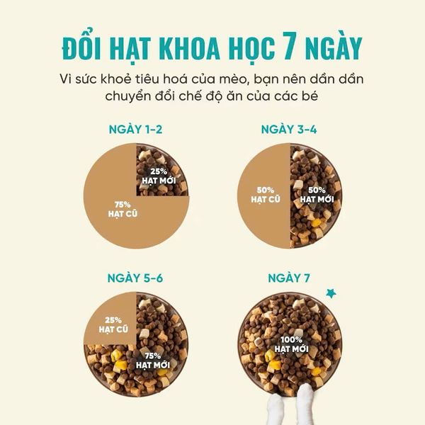 Thức Ăn Cho Mèo Cao Cấp - Bite Of Wild P42 - 1Kg
