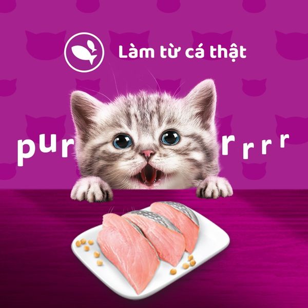 Whiskas Kitten - Pate cho Mèo Con 80g