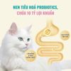 Thức Ăn Cho Mèo Con Cao Cấp Bổ Sung Sữa Dê - Bite Of Wild Kitten K42 - 1Kg