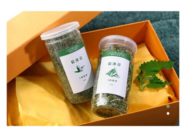 Cỏ Cho Mèo Thân Lá - Catwant Catnip - 40g/10g