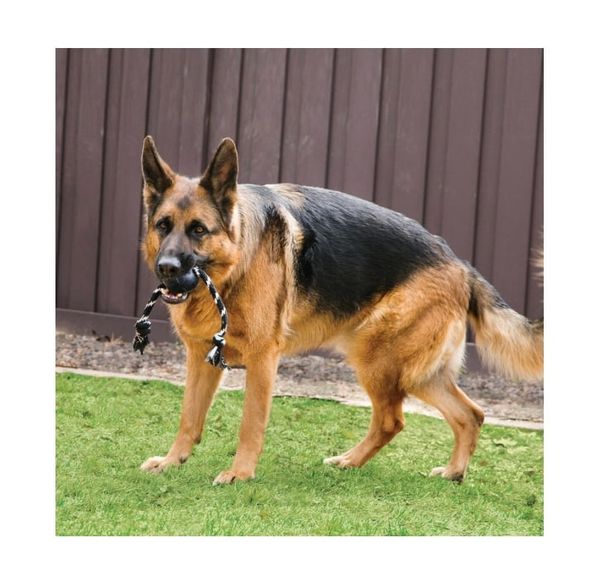 Kong Dog Extreme Ball w/Rope Large