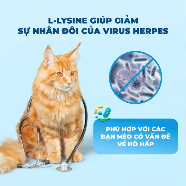 MR.VET T2 – Thức Ăn Mèo Cao Cấp (1kg)