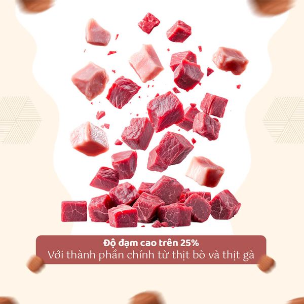 DoggyMan - Thức Ăn Hạt Healthy Choice Cho Chó Trưởng Thành Giống Vừa & Lớn – 400g/1,5kg