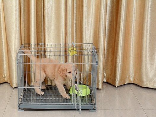 Chuồng Chó 2205 - Dog Cage 2205 (72x51x50cm)