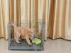 Chuồng Chó 2205 - Dog Cage 2205 (72x51x50cm)