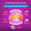 Thức ăn hạt khô Whiskas cho Mèo trưởng thành 3kg