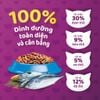 Thức ăn hạt khô Whiskas cho Mèo trưởng thành 3kg