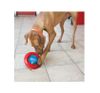 Kong Dog Gyro Small