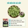 Thịt Sấy Khô Bite Of Wild Dành Cho Mèo Mọi Lứa Tuổi - 40g