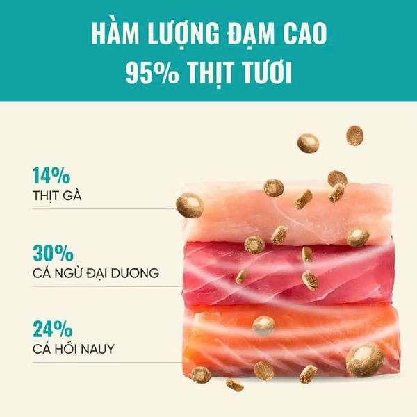 Thức Ăn Hạt Cho Mèo Bite Of Wild B45 - 1KG