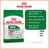 Royal Canin Mini Aldult - Thức Ăn Hạt Dành Cho Chó Trưởng Thành