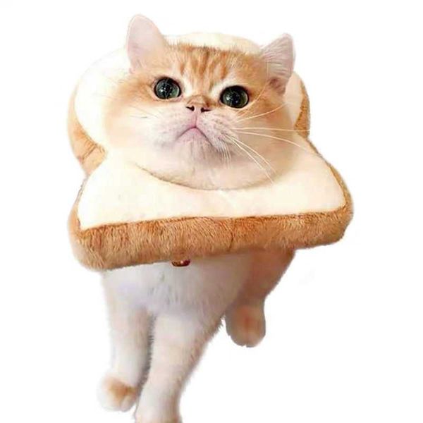 Vòng Chống Liếm Lát Bánh Mì - Soft Slice Of Toast Anti-licking
