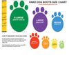 PawZ- Giày Bảo Vệ Chân Cho Thú Cưng Bằng Cao Su