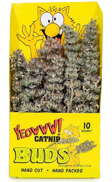 Yeowww Catnip Buds - Hoa catnip cho Mèo 10g