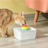 Máy Lọc Nước - Se Waterfoutain Ceramics Rainbow 1.5L