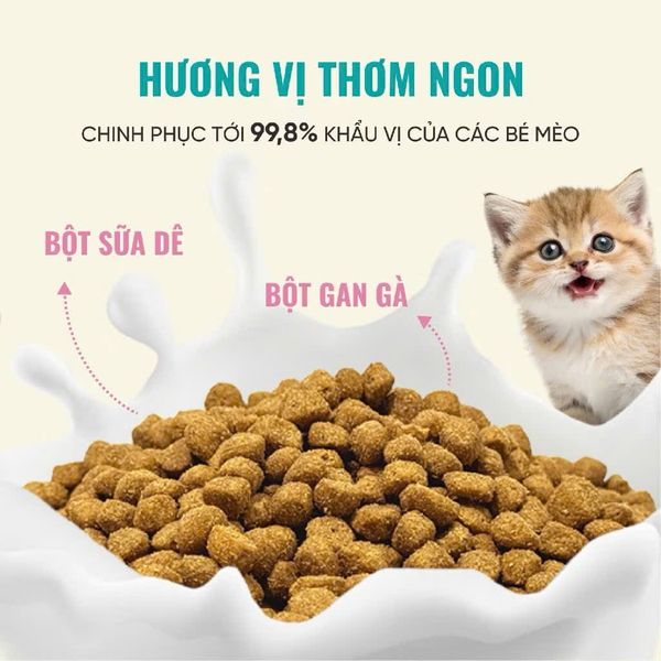 Thức Ăn Cho Mèo Con Cao Cấp Bổ Sung Sữa Dê - Bite Of Wild Kitten K42 - 1Kg